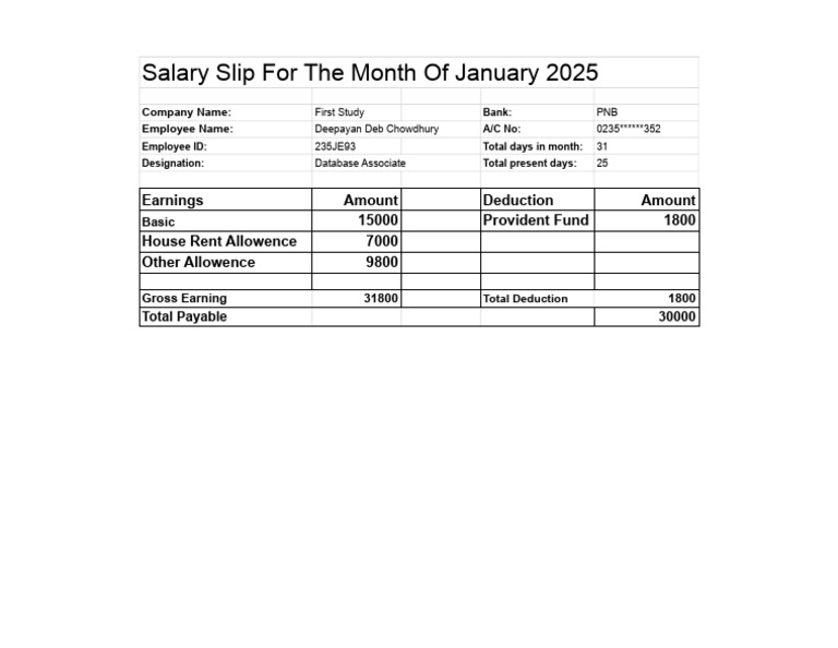 January 2025 Salary Slip Details | PDF