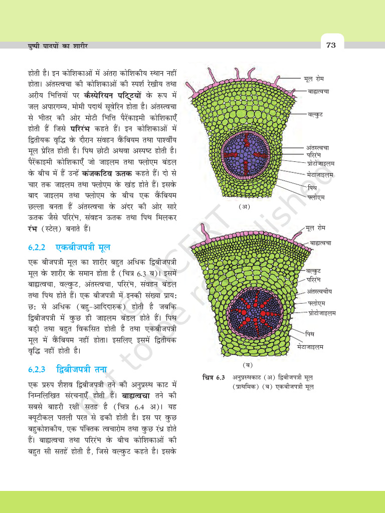 khbo106_251223_113621 | PDF
