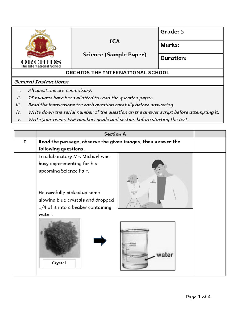 Grade 5 Science Exam Sample Paper | PDF | Foods | French Fries