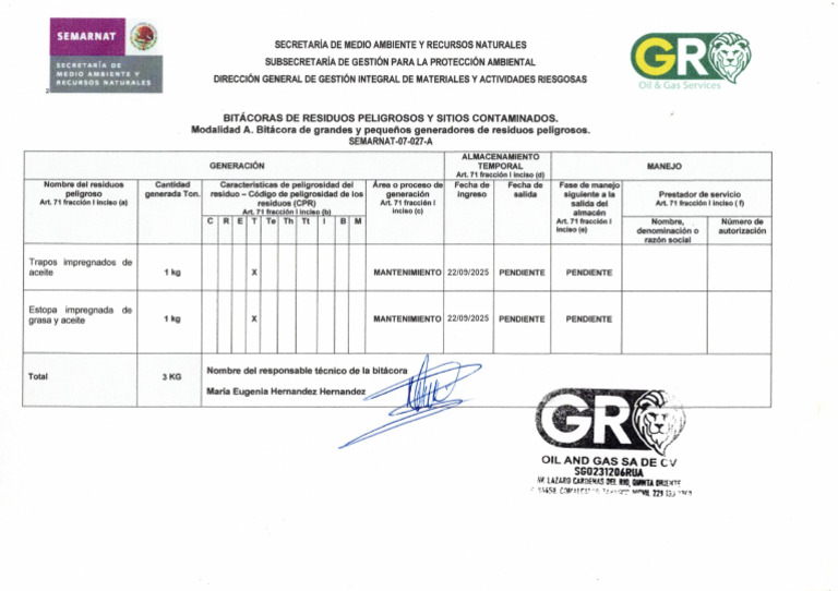 Bitacora de RP | PDF