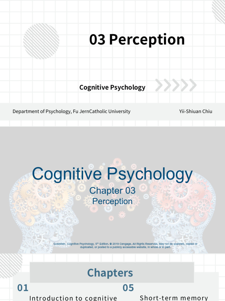 Understanding Perception in Psychology | PDF | Perception | Information