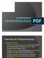Introduction To Corporate Entrepreneurship by WT