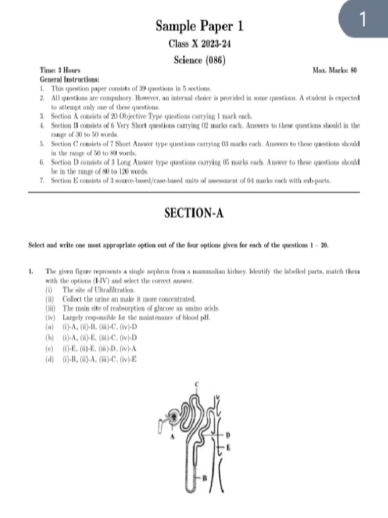 Science Sample Paper 2 | PDF