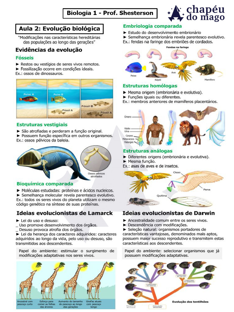 aula-2-evolu-o-biol-gica-pptx-pdf-pdf