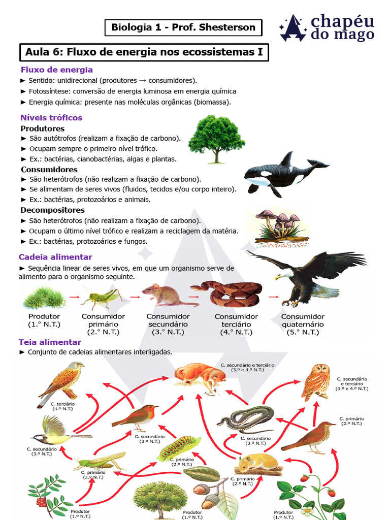Aula 6_ Fluxo de Energia Nos Ecossistemas I.pptx.PDF | PDF