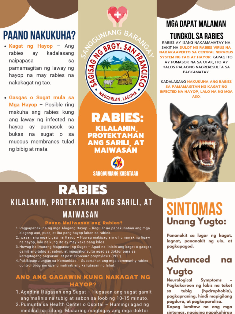 Rabbies Brochure | PDF