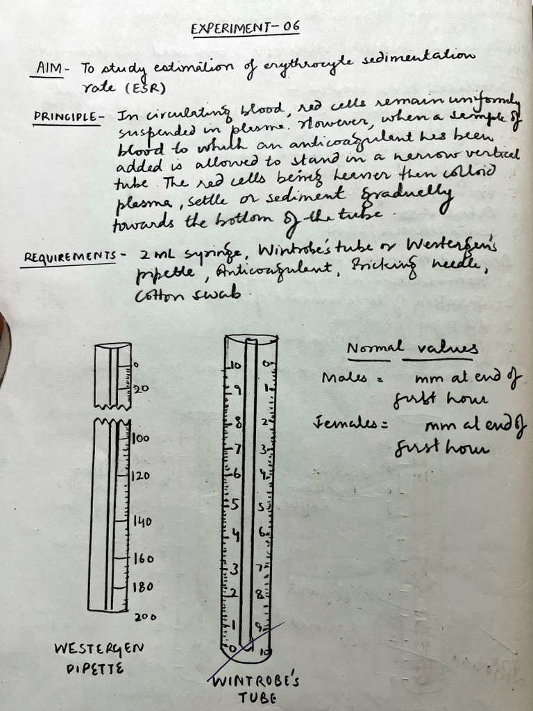 Exp 13 | PDF