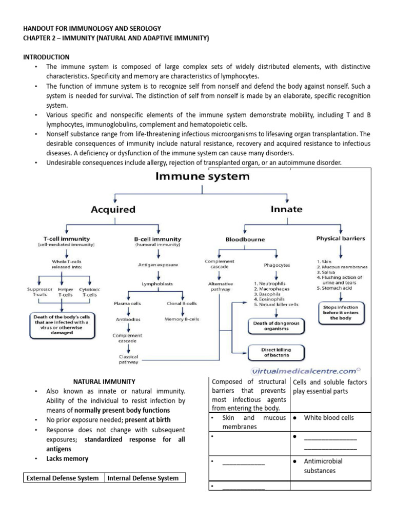 Immunology: Natural and Adaptive Immunity | PDF | Immune System | Phagocyte