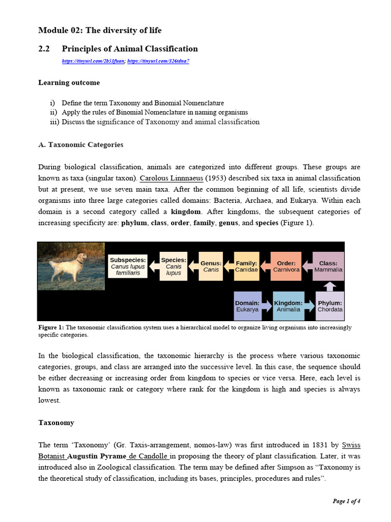 Principles of Animal Classification | PDF | Taxonomy (Biology) | Species