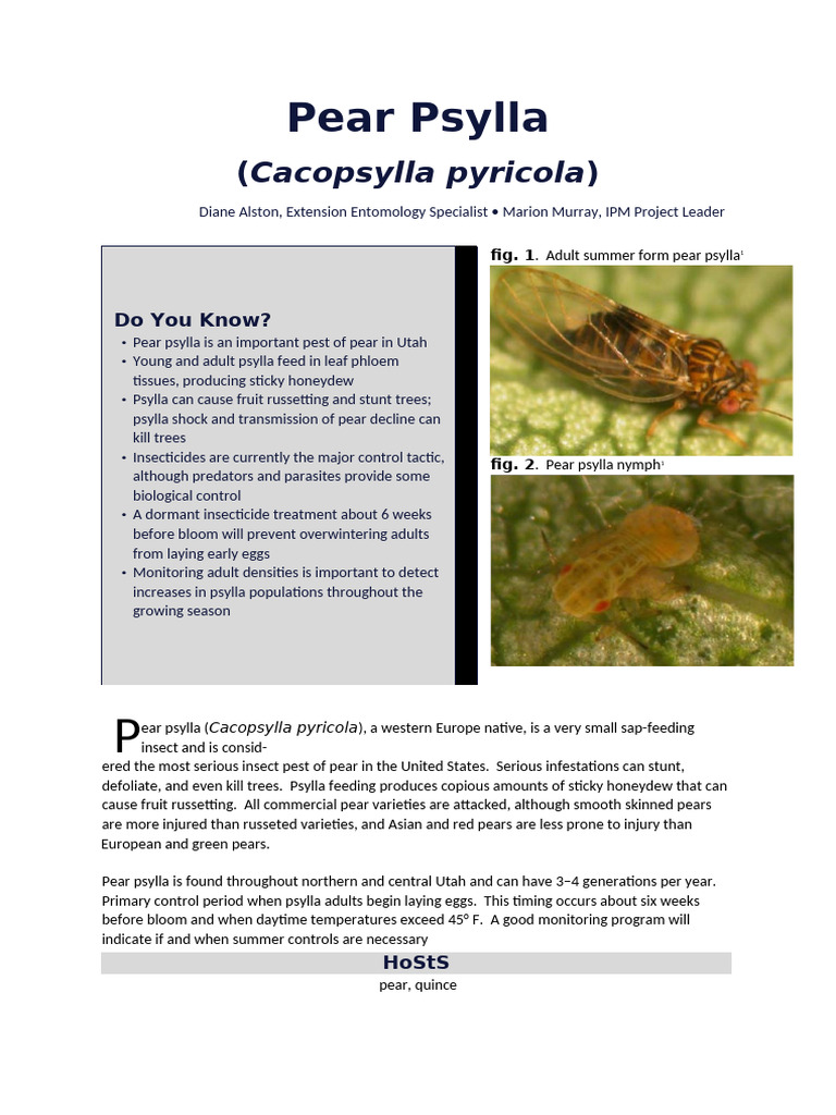 Managing Pear Psylla Infestations | PDF | Pest (Organism) | Biological ...