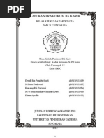 Download Laporan Praktikum BK Karir by Era Puspita SN97650957 doc pdf