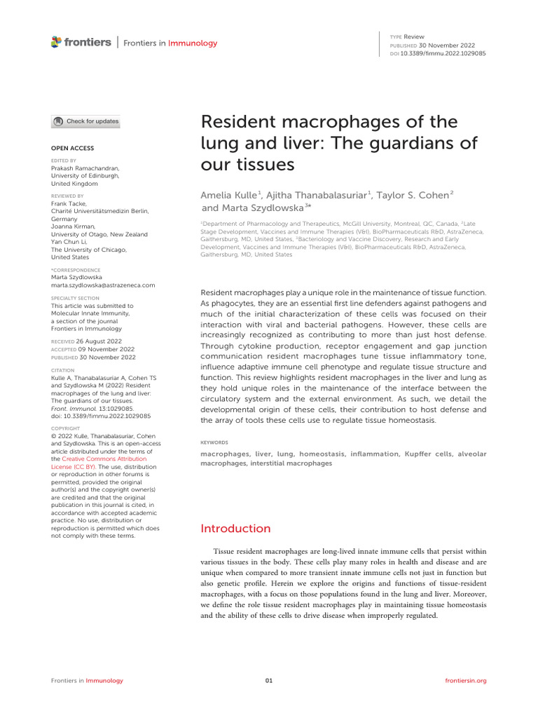 Resident Macrophages of the Lung and Liver- The Guardians of Our ...