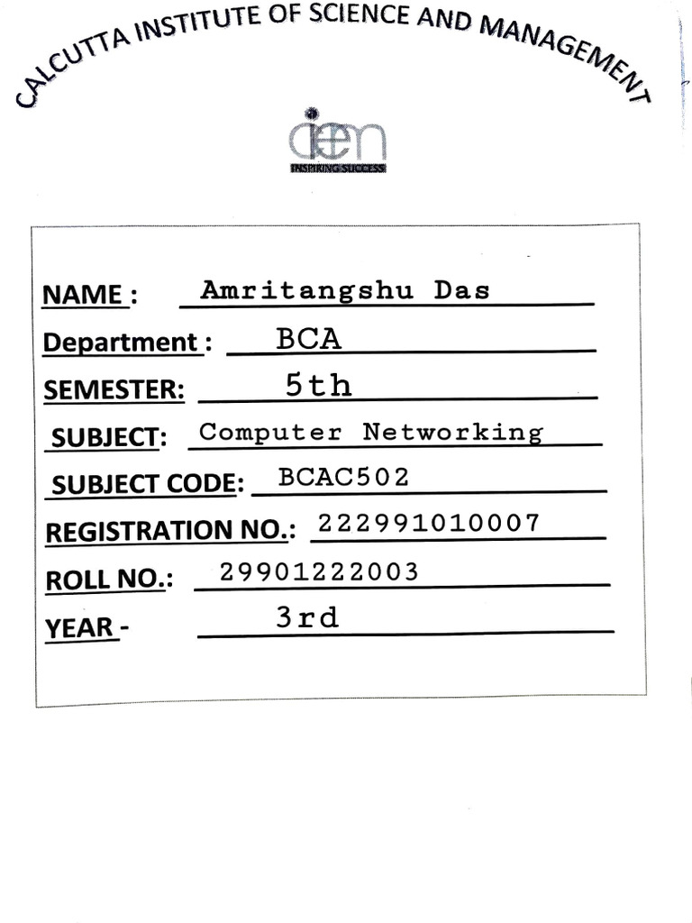 Computer Networking Overview for BCA | PDF