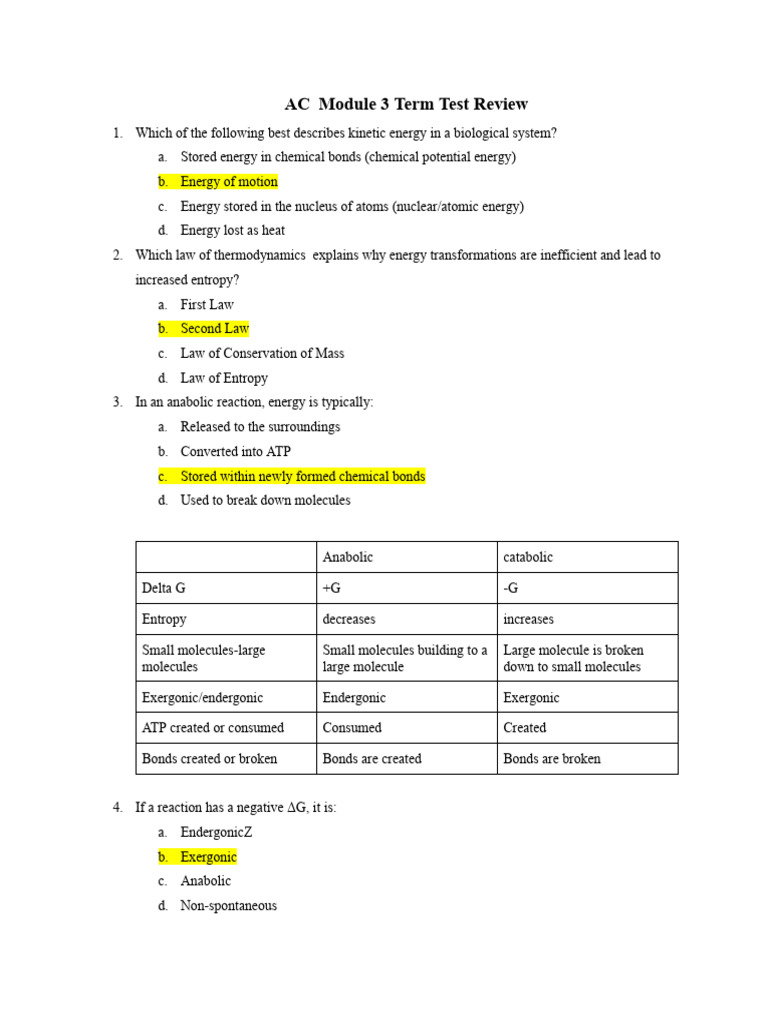 Module 3 TT Review | PDF | Cellular Respiration | Mitochondrion