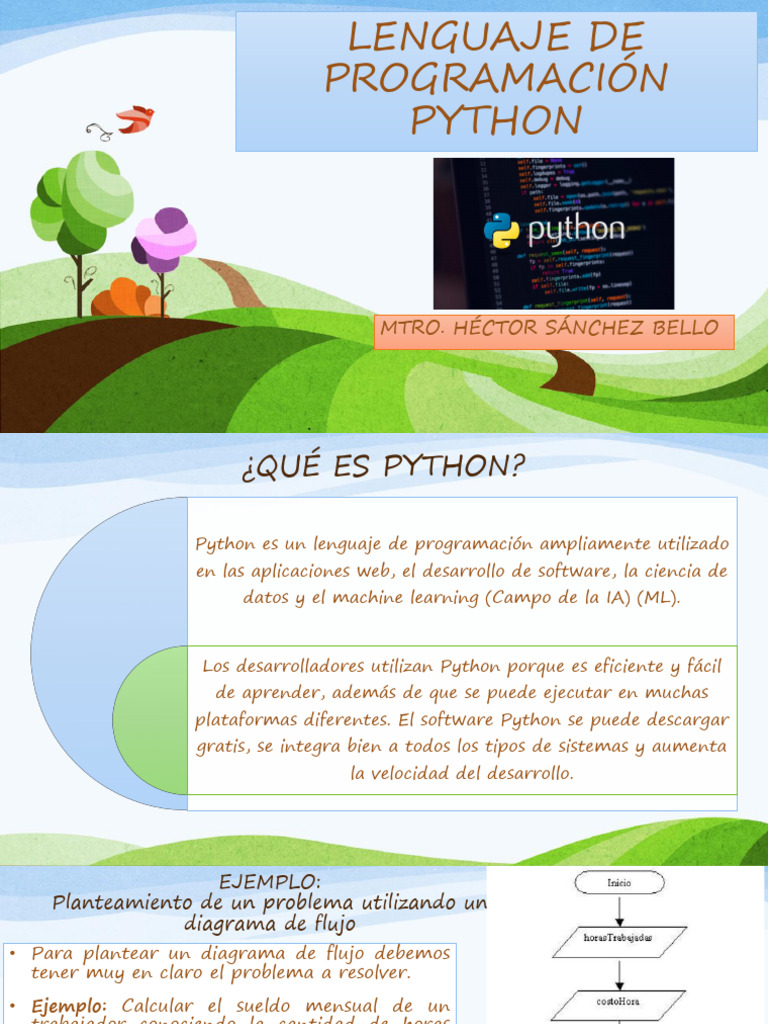 Introducción a Python: Programación Básica | PDF | Python (lenguaje de ...