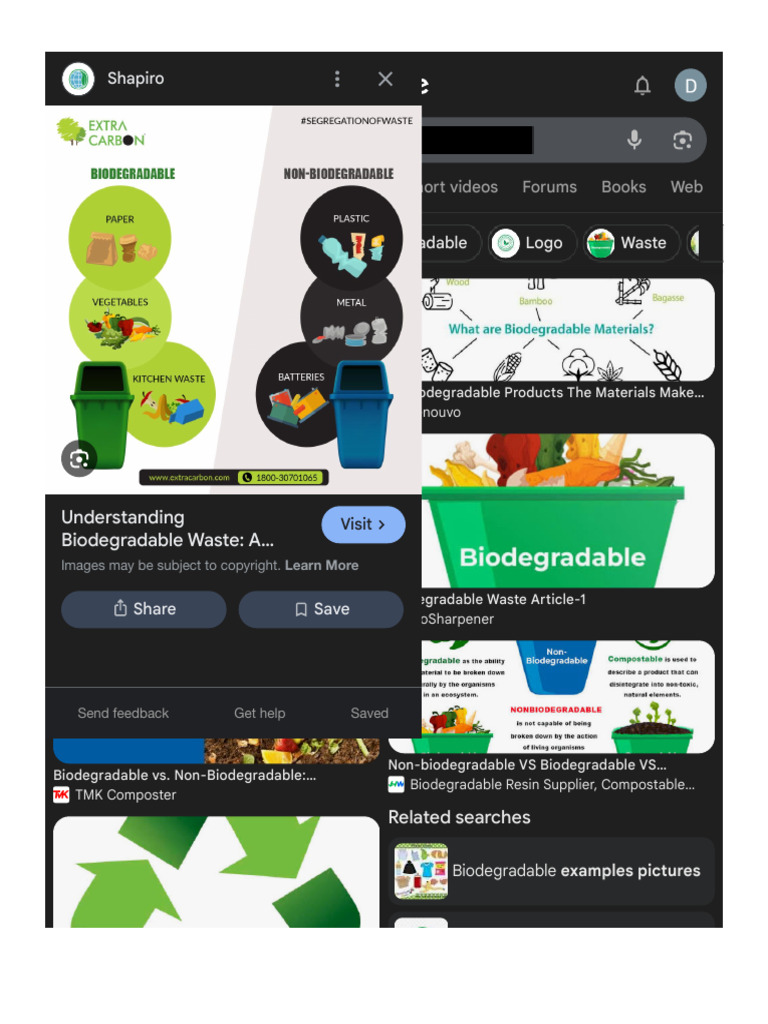 Understanding Biodegradable Waste Guide | PDF | Biodegradation | Plastic