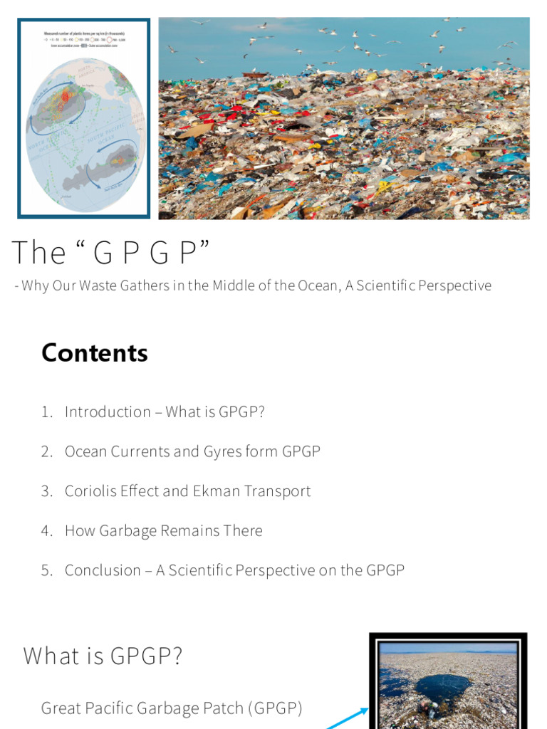 Understanding the Great Pacific Garbage Patch | PDF