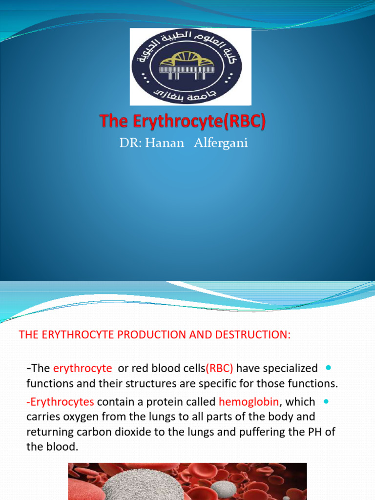 Erythrocyte (1) | PDF | Red Blood Cell | Cell Biology
