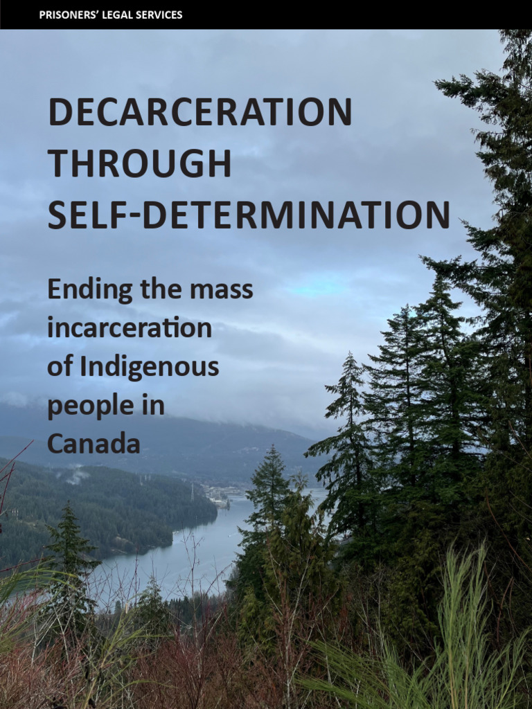 Decarceration Through Self Determination W | PDF | Justice | Crime ...