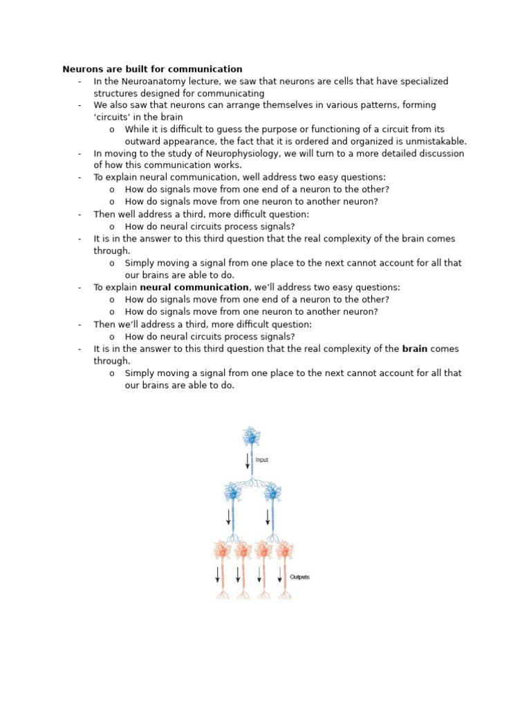 Understanding Neural Communication Basics | PDF | Chemical Synapse ...