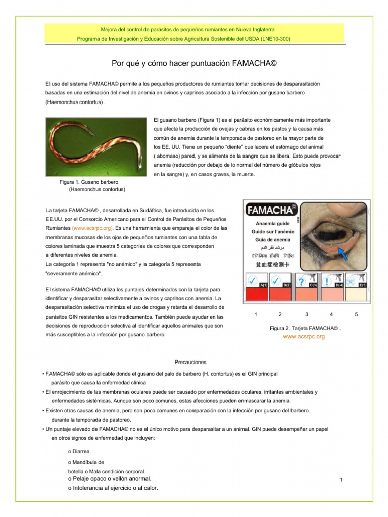 famacha | PDF | Oveja | Ojo
