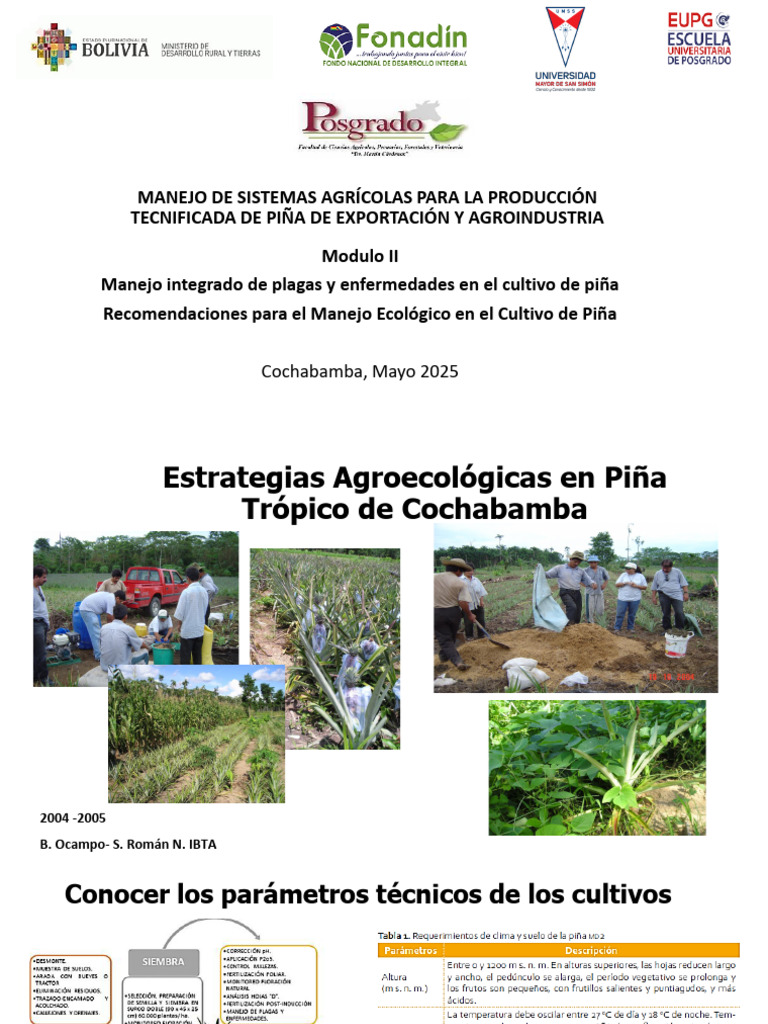 Manejo Ecológico en Cultivo de Piña | PDF | Las bacterias | Fermentación