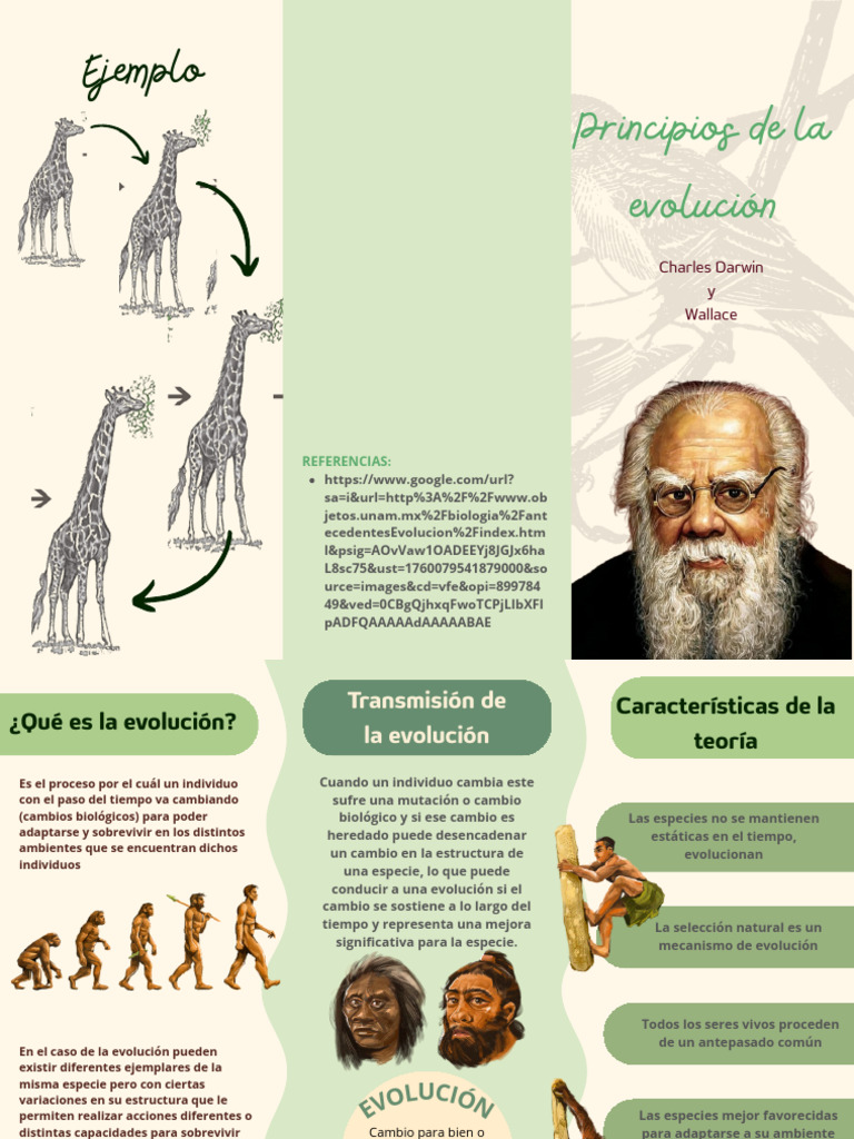 Principios de la Evolución y Adaptación | PDF | Evolución | Seleccion ...