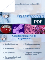 Streptococcus 2