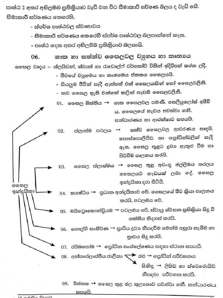 Science Short Note 6 | PDF