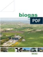Biogas-h