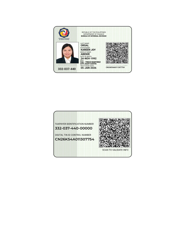 Digital TIN ID Verification Guide | PDF