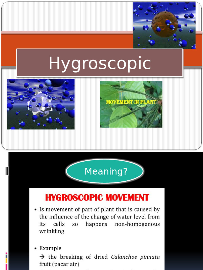 Hygroscopic BIOLOGY 1 | PDF