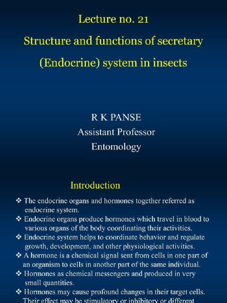 Endocrine Insects | PDF