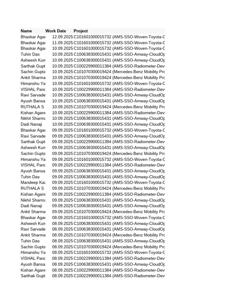 Project Work Log for AMS-SSO Teams | PDF