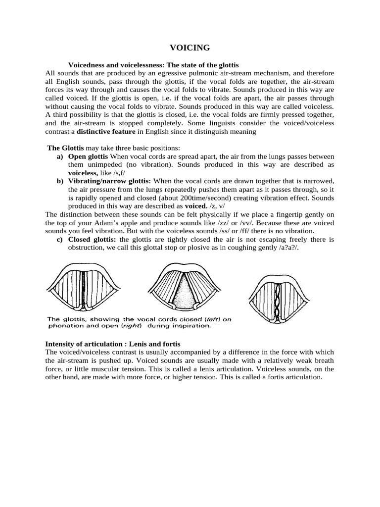 Understanding Voiced and Voiceless Sounds | PDF