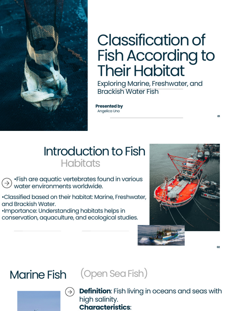 Fish Habitat Classification Guide | PDF | Fish | Habitat
