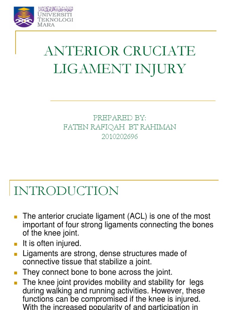 Understanding ACL Injuries and Rehab | PDF | Knee | Limbs (Anatomy)