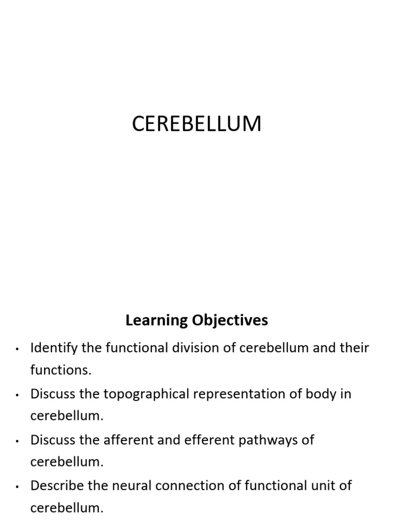 Functions and Divisions of the Cerebellum | PDF | Cerebellum | Anatomy