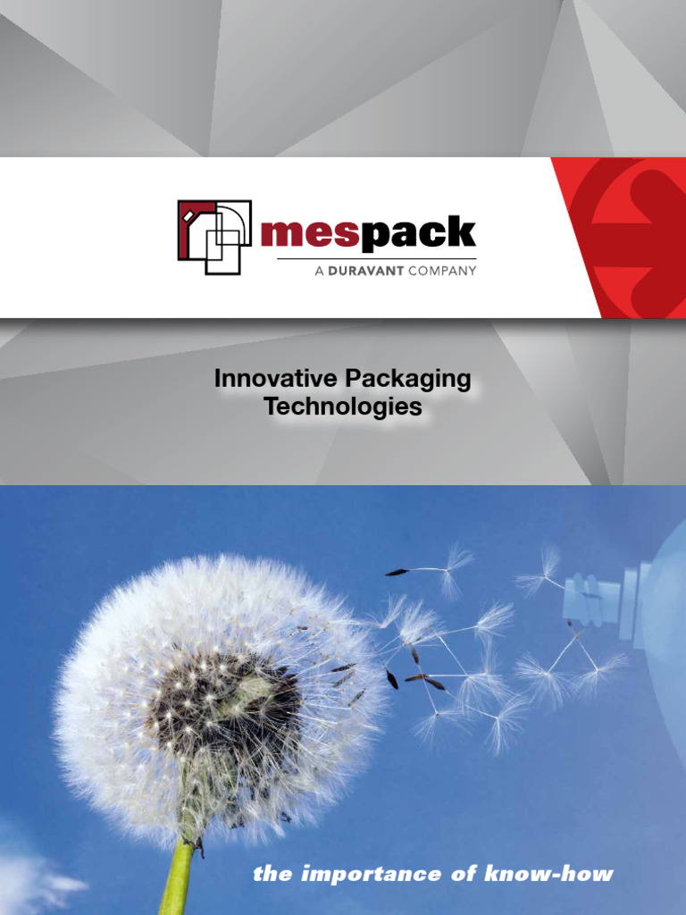 Innovative Flexible Packaging Solutions | PDF