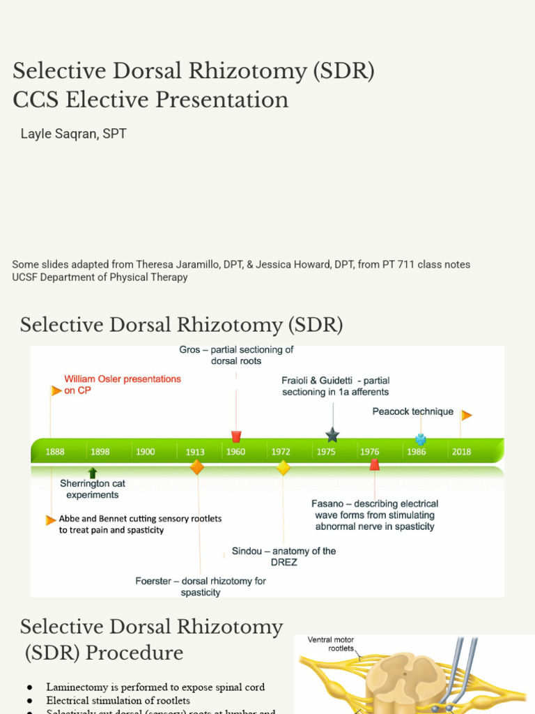 Selective Dorsal Rhizotomy Overview | PDF | Nervous System ...