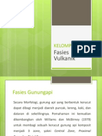 Fasies Gunung Api