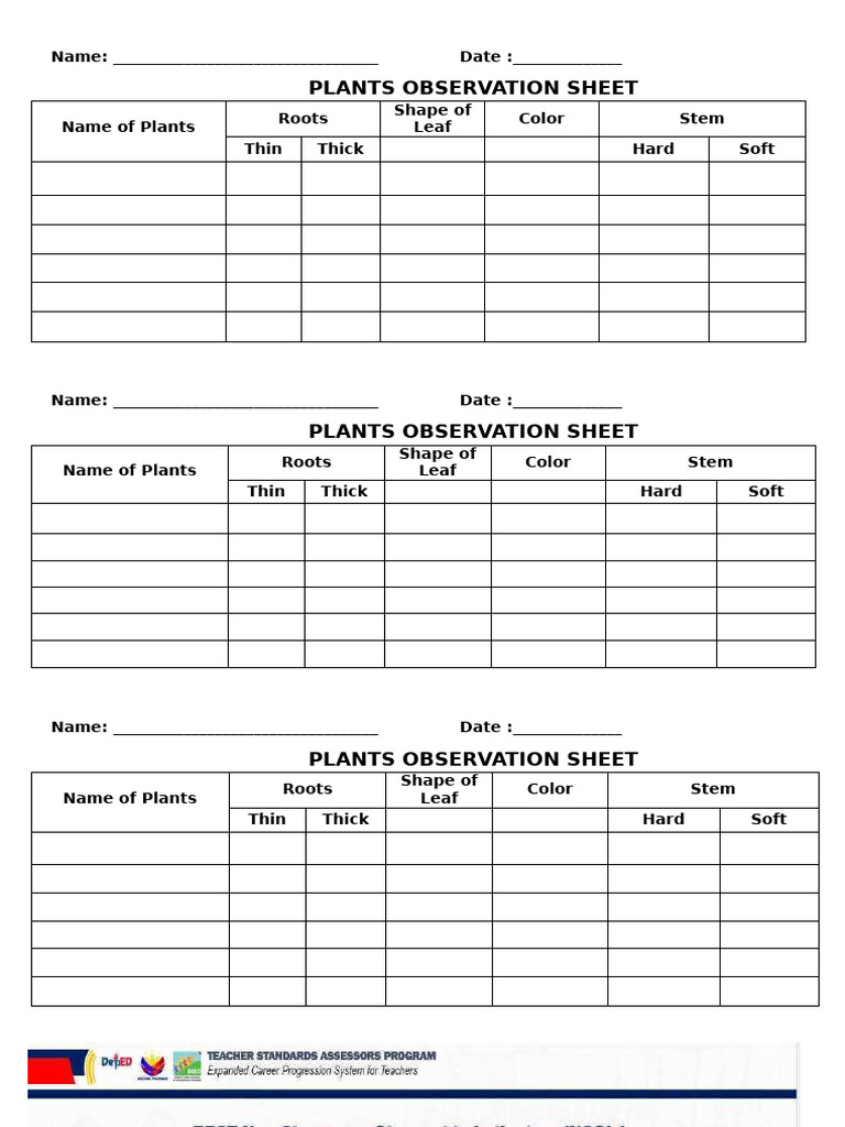 Plant Observation Sheet Template | PDF