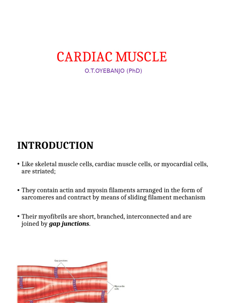 Phs 201 - Cardiac Muscle | PDF | Cardiac Muscle | Muscle Contraction