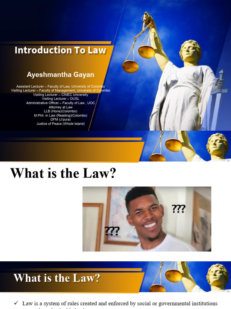 Introduction To Law | PDF | Burden Of Proof (Law) | Lawsuit