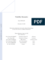 VolatilityDynamics DNicolay PrePrint