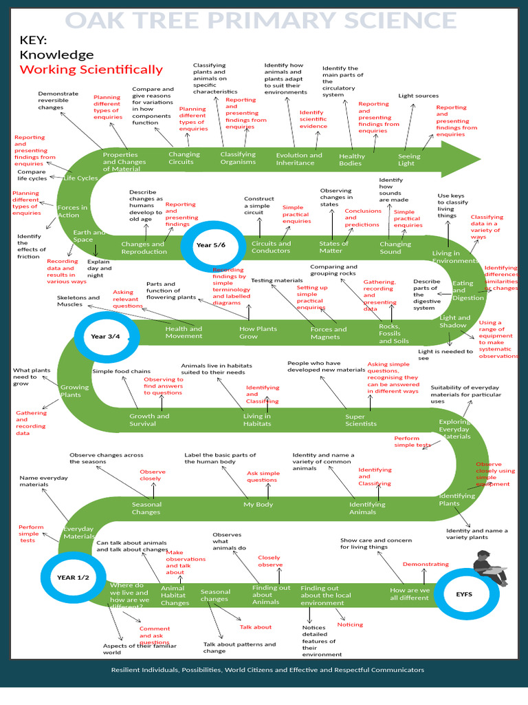 Primary Science Curriculum Overview | PDF | Plants | Science