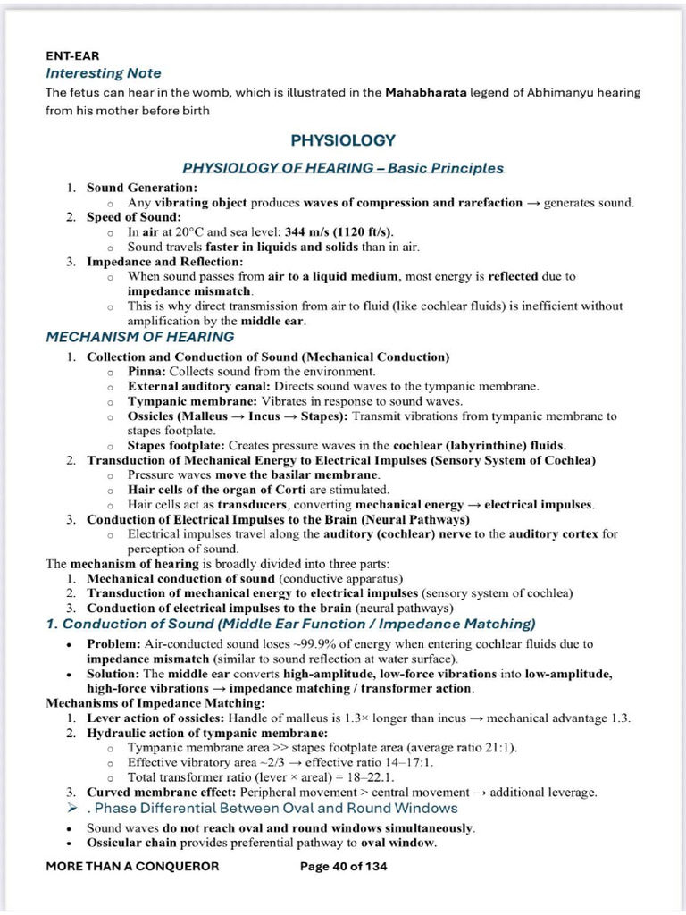 Sample ENT Notes | PDF