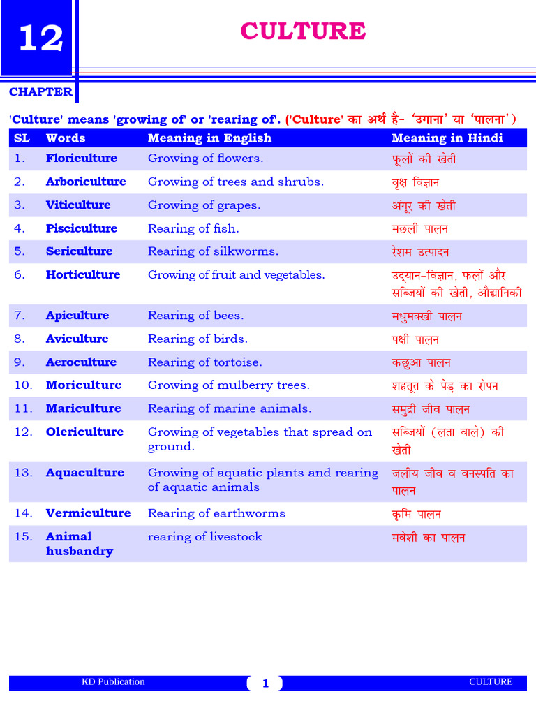 Ch 15 Culture | PDF