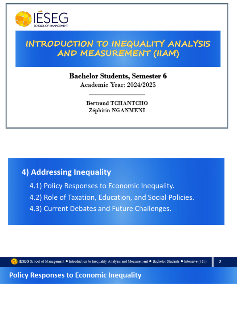 Inequality Analysis and Policy Solutions | PDF | Cost Of Living | Taxes