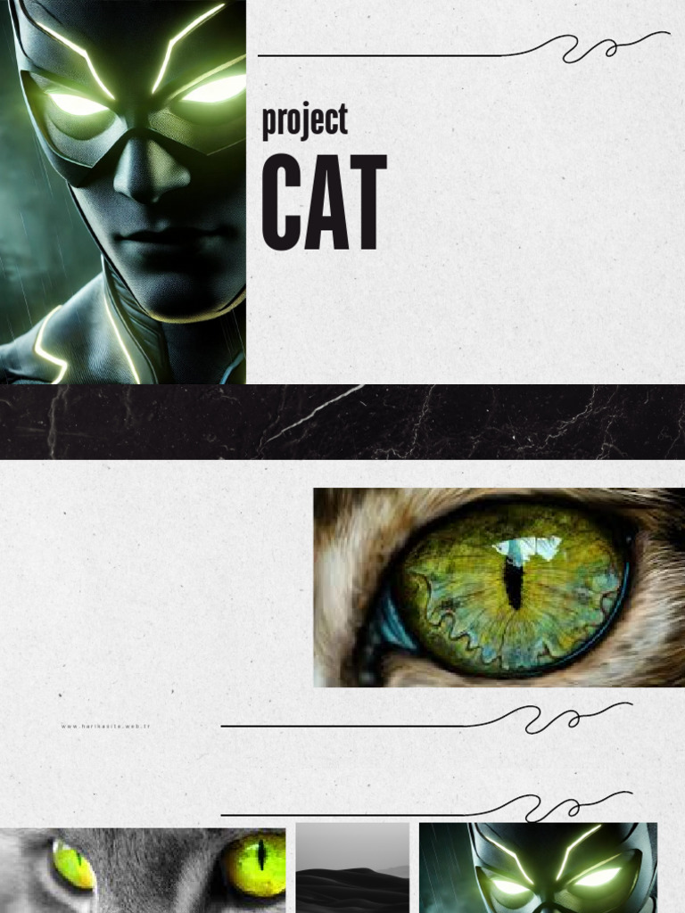 Project | PDF